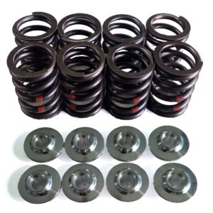 M102 Performance Ventilfedern für dbilas Sportnockenwelle